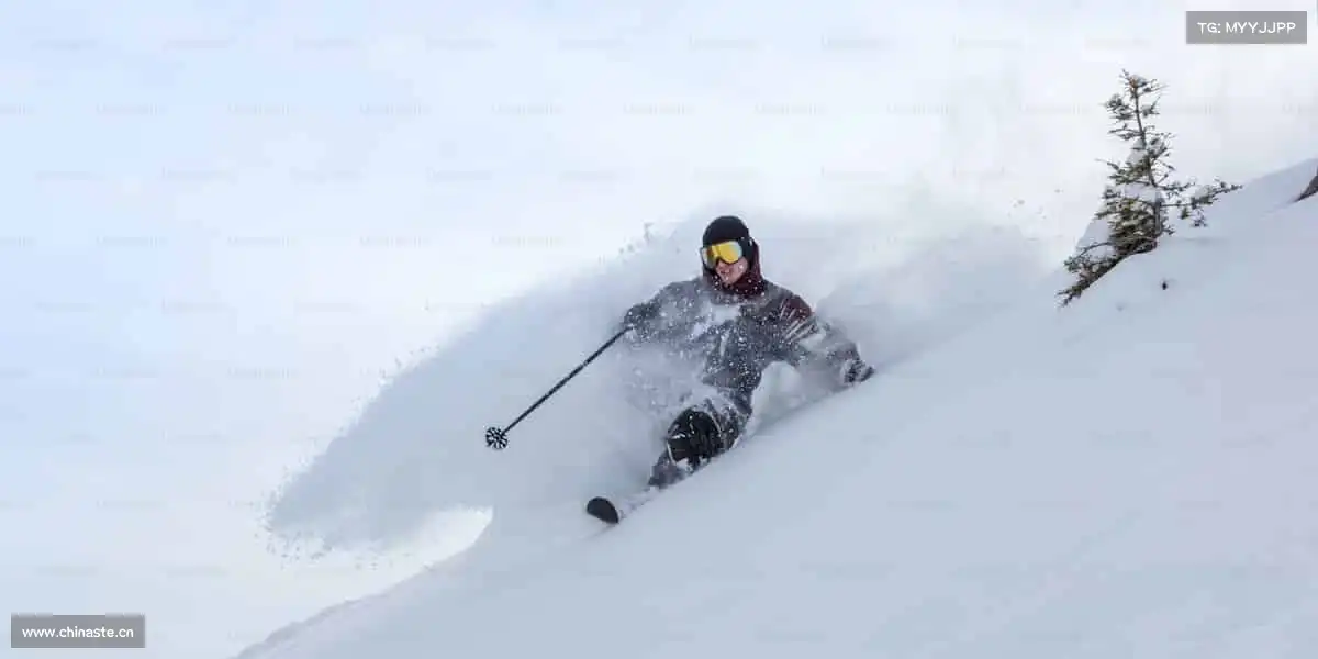 Z6尊龙官方网站——用拼搏定义,属于你的赛场!⚽